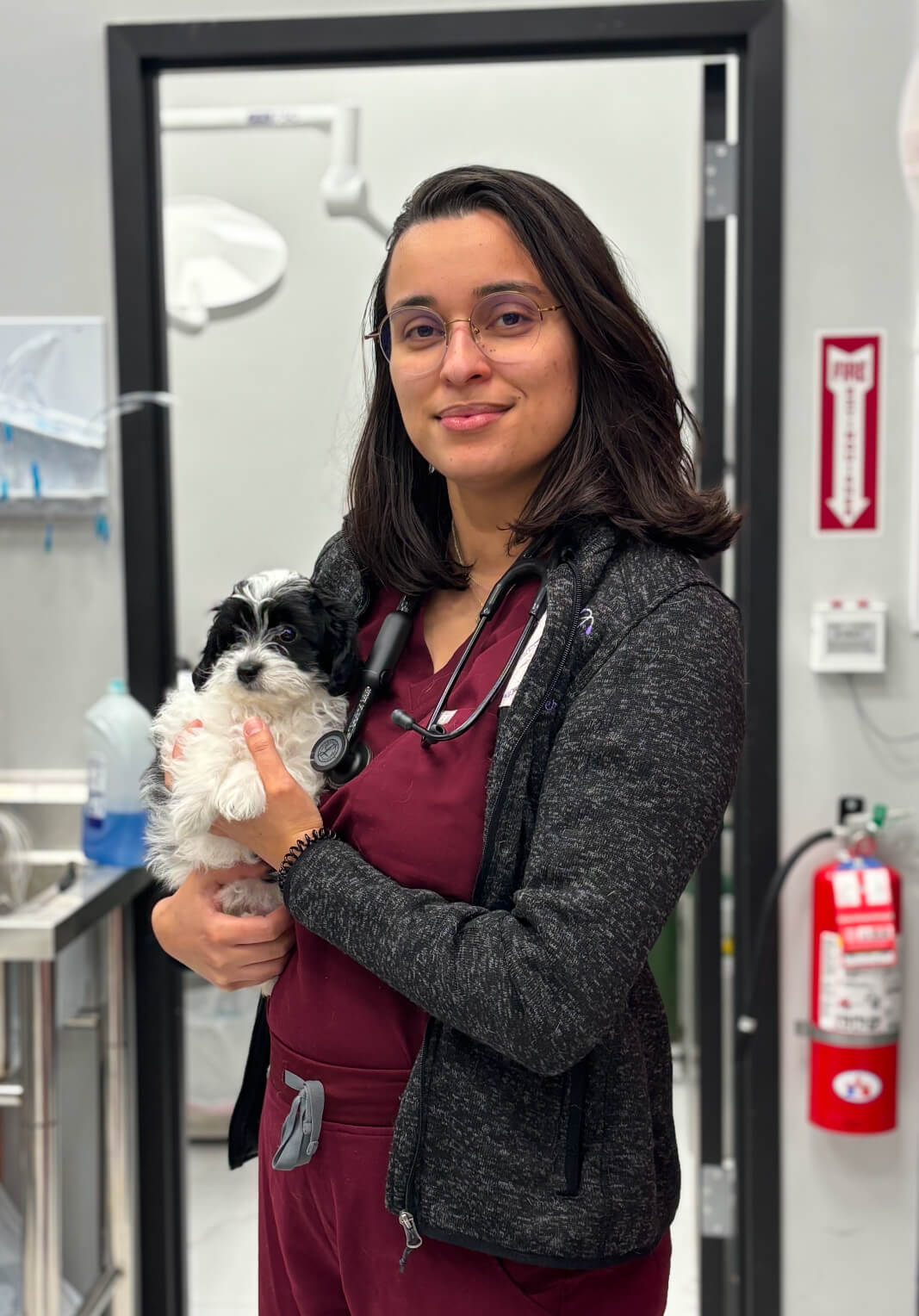 Dr. Luisanny Perez, DVM