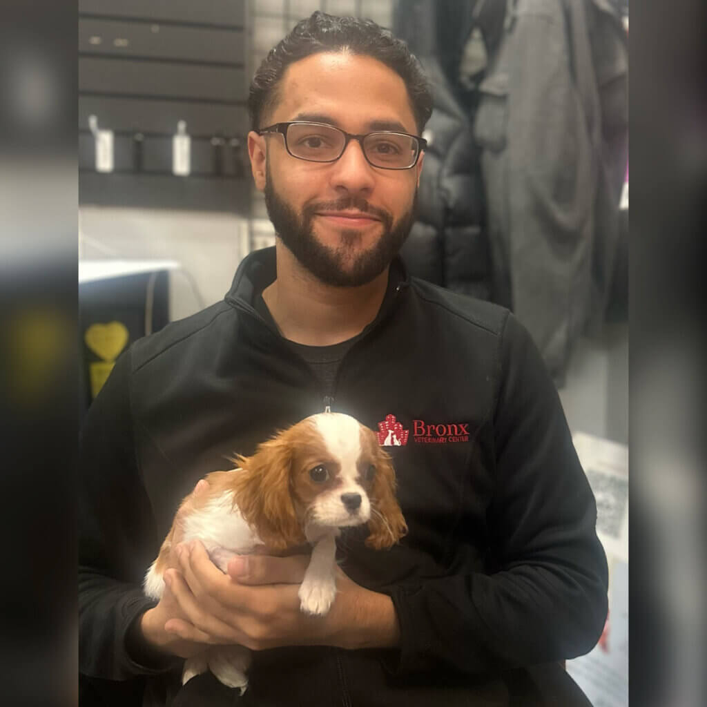 Veterinary Supervisor Nicholas Salas, CSR Supervisor - Bronx Veterinary Center