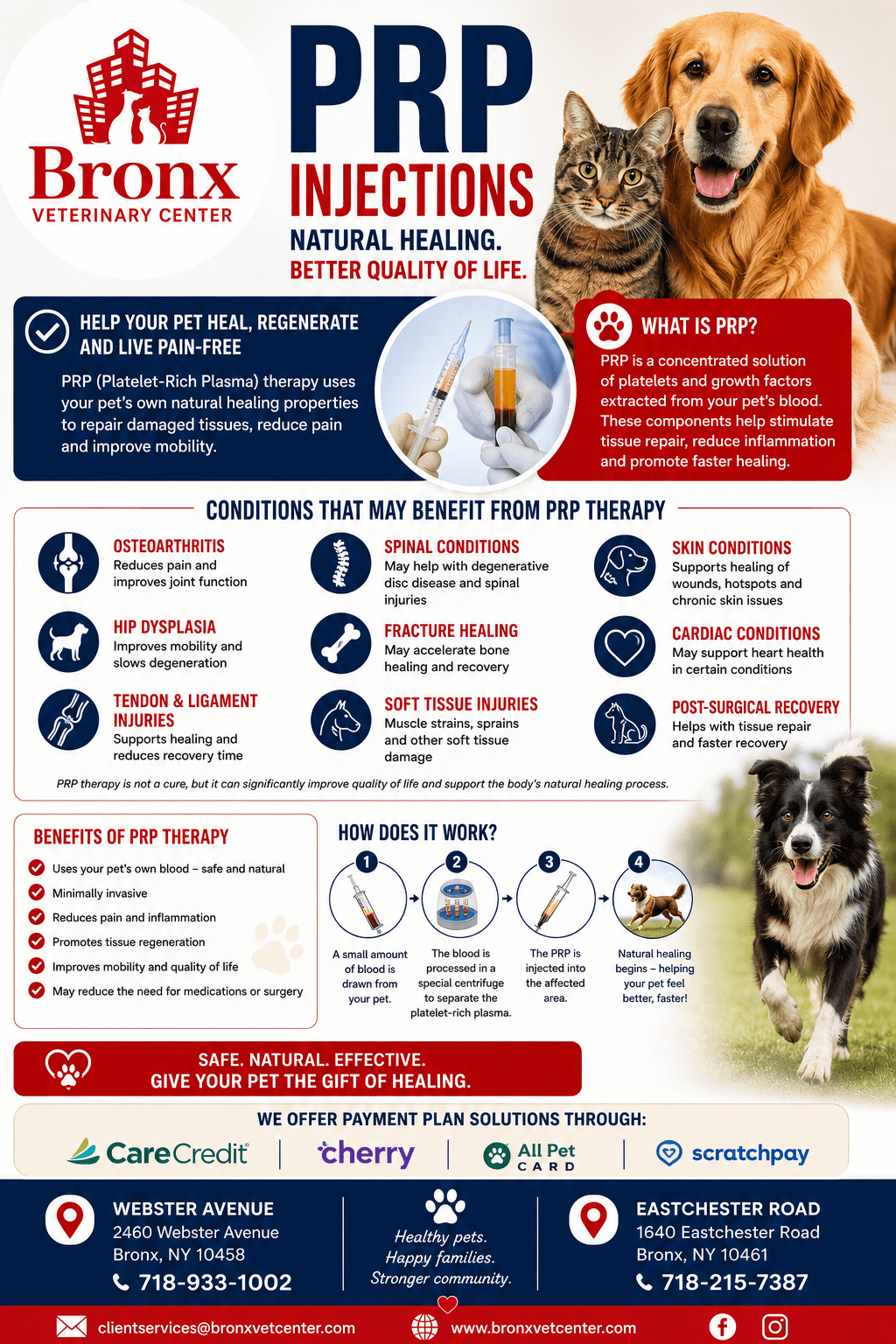 bpc 157 for cats BPC-157 100mg – VetBiologix Center for Companion Animal Health